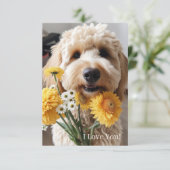 Cartes Goldendoodle (Debout devant)