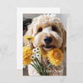 Cartes Goldendoodle (Devant / Derrière)