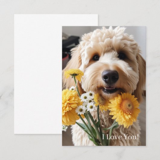 Cartes Goldendoodle (Devant / Derrière)
