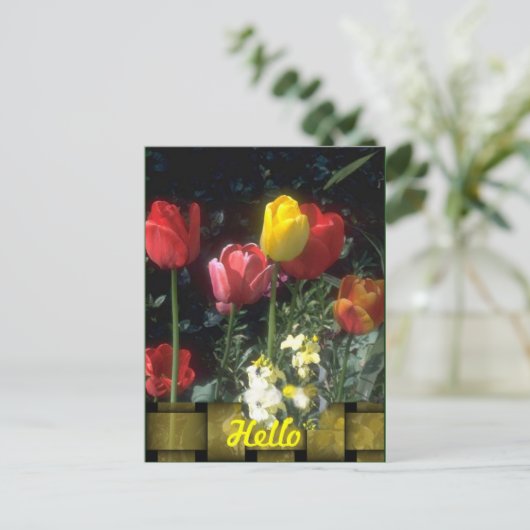 Cartes Hello (Debout devant)