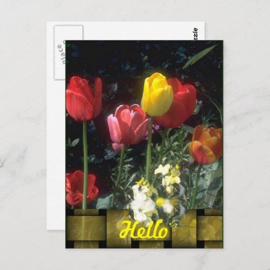 Cartes Hello (Devant / Derrière)