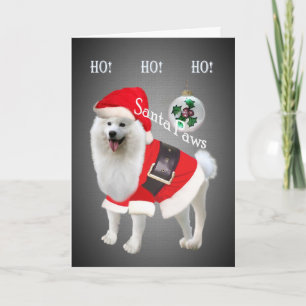 Cartes Ho Ho Ho Samoyed Père Noël