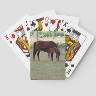 Cartes Jeu de Cartes, Photographie de la Famille de Cheva
