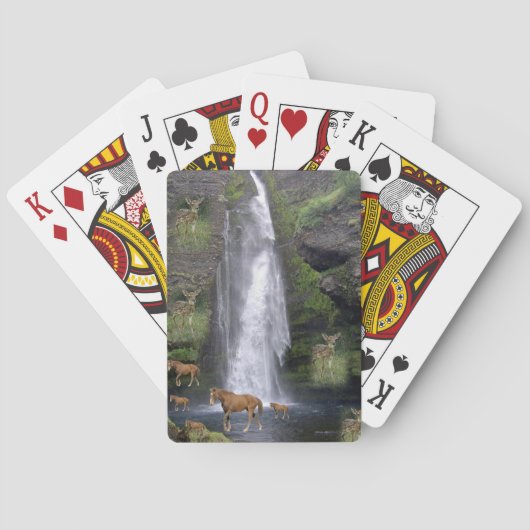Cartes Jeu de cheval Deck de carte (dos)