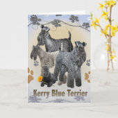 Cartes Kerry Blue (Fleur jaune)