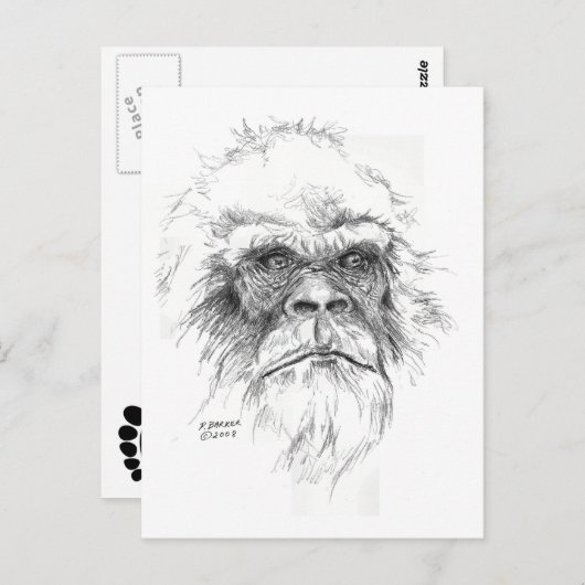 Cartes LTB (Devant / Derrière)