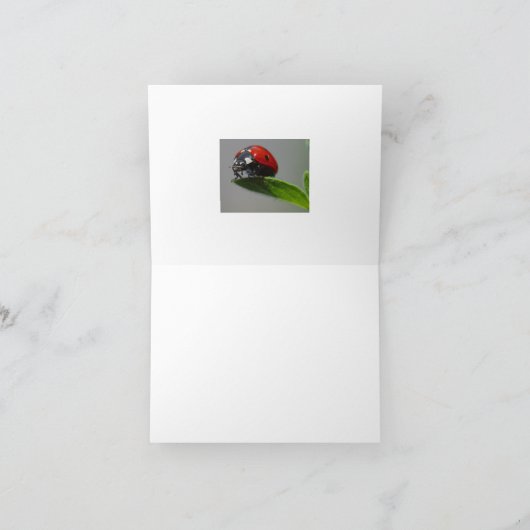 Cartes Lucky Ladybug (Intérieur)