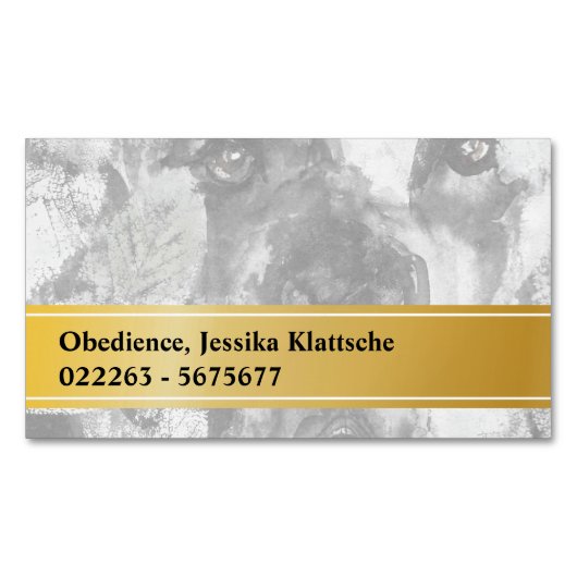 Cartes magnétiques (devant)