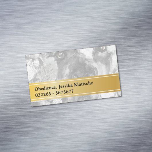 Cartes magnétiques (In Situ)