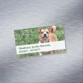 Cartes magnétiques (In Situ)