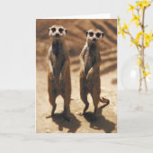 Cartes Meerkat (Fleur jaune)
