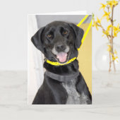 Cartes noires de salutation/note de mélange de (Fleur jaune)