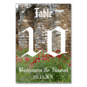 Cartes Numéro de Table Mariage du château (Dos)