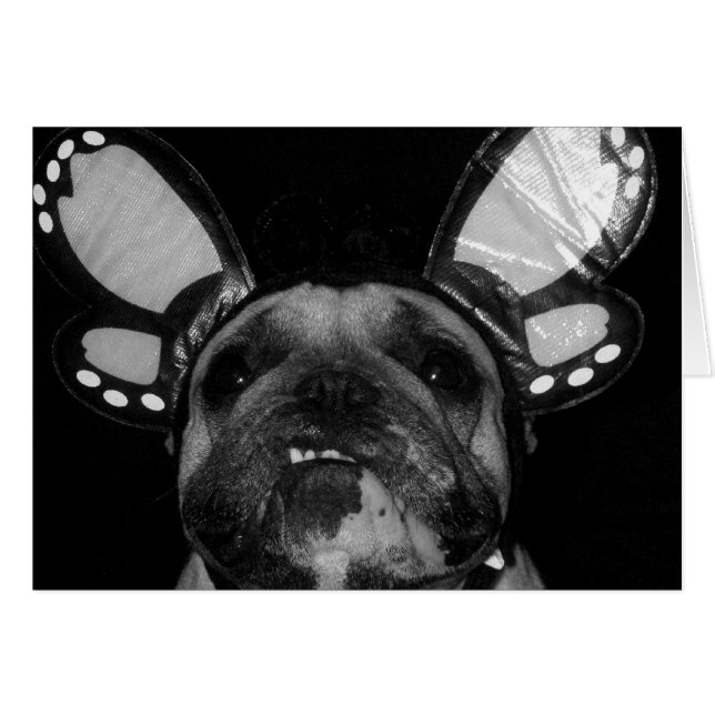 Cartes Papillons Ava (Devant Horizontal)