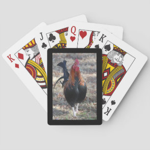 Cartes Photo de coq de jeu