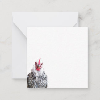 Cartes photo plat Cute Bantam Cochin Hen