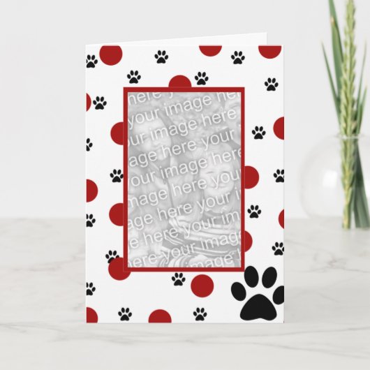 Cartes photos d'animal familier (Devant)