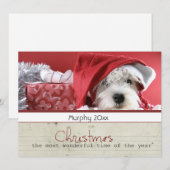 cartes photos d'animal familier de Noël de (Devant / Derrière)