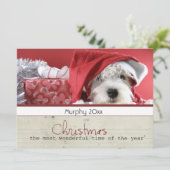 cartes photos d'animal familier de Noël de (Debout devant)