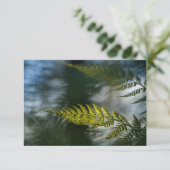 Cartes photos de la Fern Nature (Debout devant)