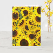 Cartes photos de tournesol (Fleur jaune)