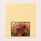 Cartes Pink Peony pliées - Pack de 25 (Outside Unfolded)