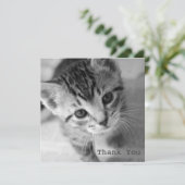 Cartes plates de Merci de carré adorable de chaton (Debout devant)