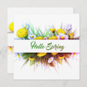 Cartes plates pour ressort (Devant / Derrière)