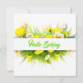 Cartes plates pour ressort (Dos)