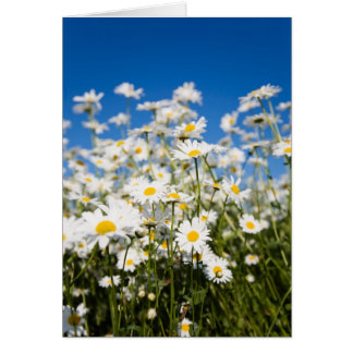 Cartes pliées