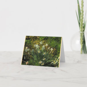 Cartes pliées de jonquilles à Stenton House