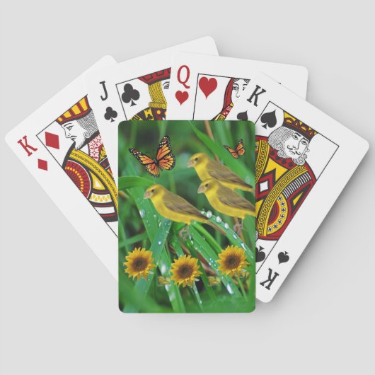 Cartes Pont carte de jeu pour oiseaux (dos)