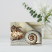 Cartes postale de plage coquillages et étoiles de  (Debout devant)