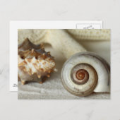 Cartes postale de plage coquillages et étoiles de  (Devant / Derrière)