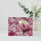 Cartes postale Fleurs de tulipes blanches roses -  (Debout devant)