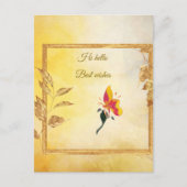 Cartes postales (Devant)
