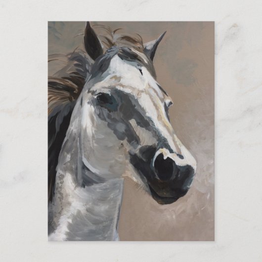 Cartes postales (Devant)