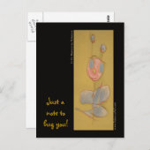 Cartes postales (Devant / Derrière)