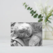 Cartes postales (Debout devant)