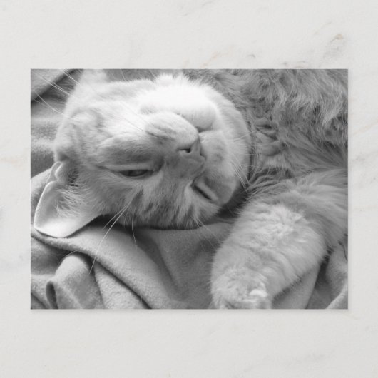 Cartes postales (Devant)