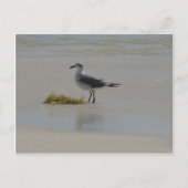 cartes postales (Devant)