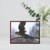 cartes postales (Debout devant)