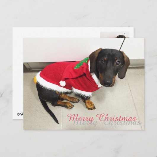 Cartes postales (Devant / Derrière)