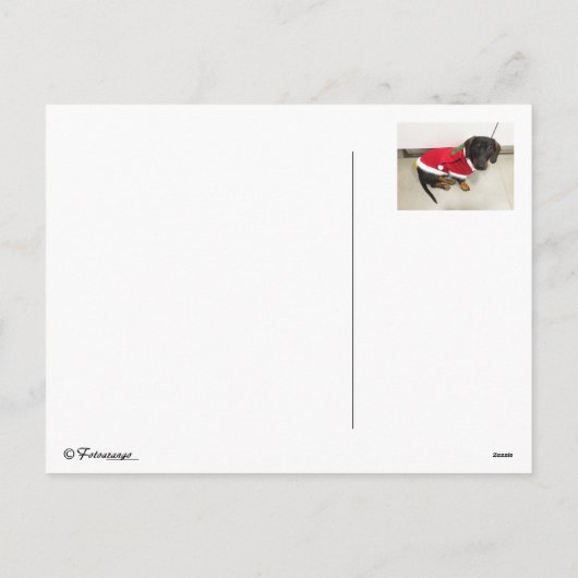 Cartes postales (Dos)