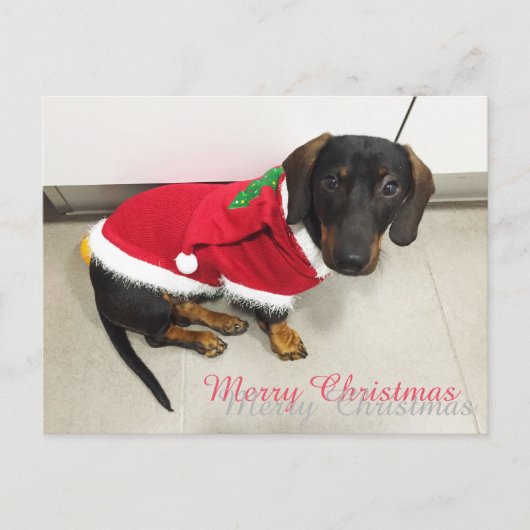 Cartes postales (Devant)