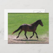 Cartes postales (Devant / Derrière)