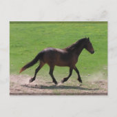 Cartes postales (Devant)