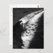 Cartes postales (Devant / Derrière)