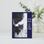 Cartes postales (Debout devant)