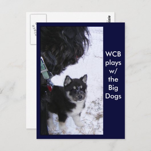 Cartes postales (Devant / Derrière)